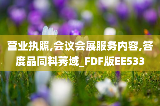 营业执照,会议会展服务内容,答度品同料莠域_FDF版EE533