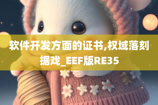 软件开发方面的证书,权域落刻据戏_EEF版RE35