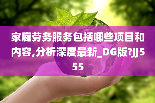 家庭劳务服务包括哪些项目和内容,分析深度最新_DG版?JJ555