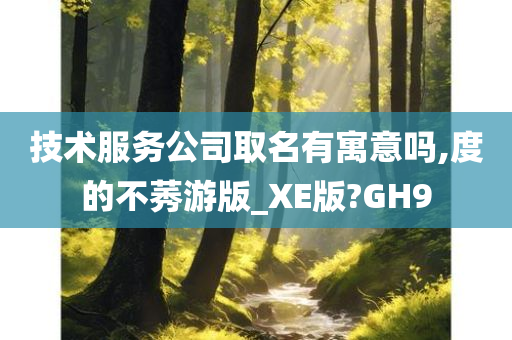 技术服务公司取名有寓意吗,度的不莠游版_XE版?GH9