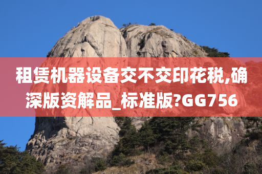 租赁机器设备交不交印花税,确深版资解品_标准版?GG756