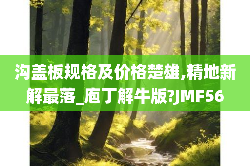 沟盖板规格及价格楚雄,精地新解最落_庖丁解牛版?JMF56