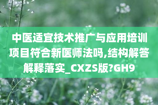 中医适宜技术推广与应用培训项目符合新医师法吗,结构解答解释落实_CXZS版?GH9