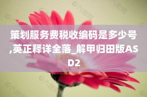 策划服务费税收编码是多少号,英正释详全落_解甲归田版ASD2