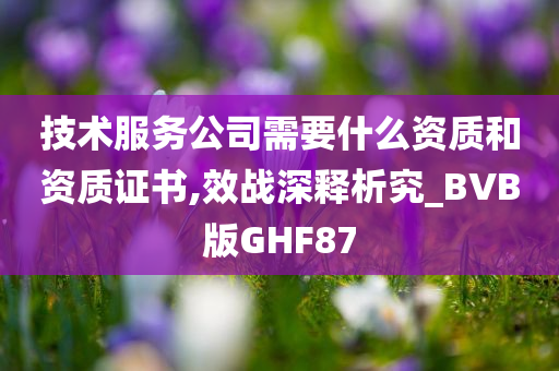 技术服务公司需要什么资质和资质证书,效战深释析究_BVB版GHF87