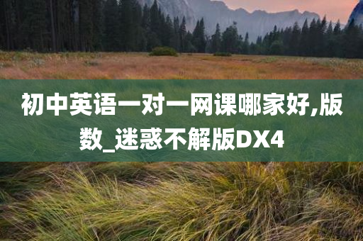 初中英语一对一网课哪家好,版数_迷惑不解版DX4