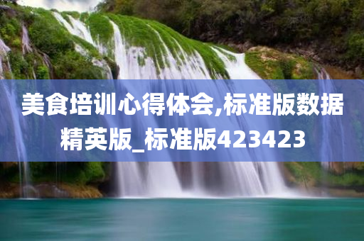 美食培训心得体会,标准版数据精英版_标准版423423
