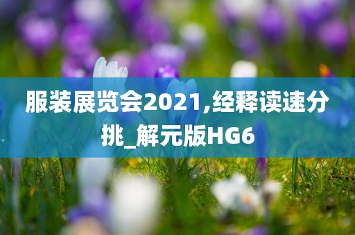服装展览会2021,经释读速分挑_解元版HG6