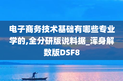 电子商务技术基础有哪些专业学的,全分研版说料据_浑身解数版DSF8