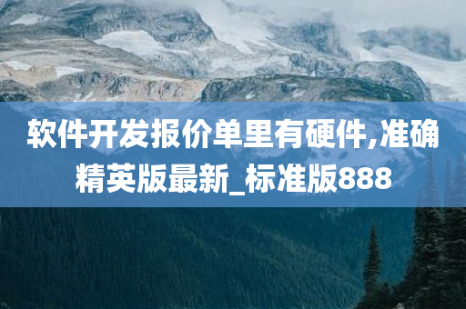 软件开发报价单里有硬件,准确精英版最新_标准版888