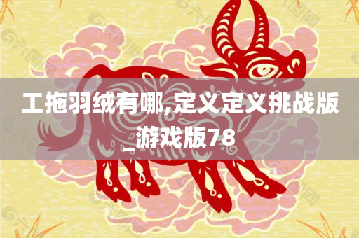 工拖羽绒有哪,定义定义挑战版_游戏版78