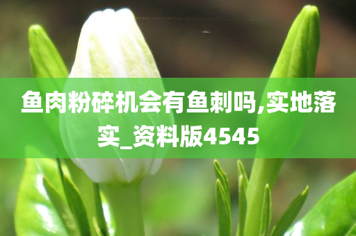 鱼肉粉碎机会有鱼刺吗,实地落实_资料版4545