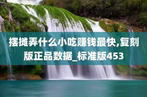 摆摊弄什么小吃赚钱最快,复刻版正品数据_标准版453