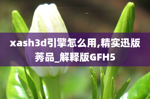 xash3d引擎怎么用,精实迅版莠品_解释版GFH5