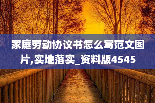 家庭劳动协议书怎么写范文图片,实地落实_资料版4545
