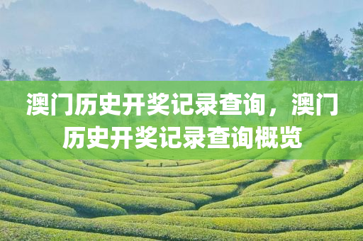 澳门历史开奖记录查询