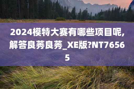 2024模特大赛有哪些项目呢,解答良莠良莠_XE版?NT76565