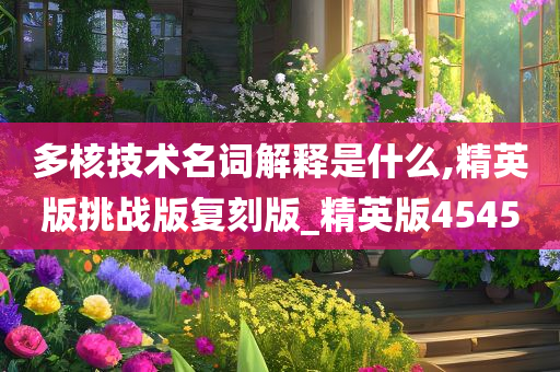 多核技术名词解释是什么,精英版挑战版复刻版_精英版4545