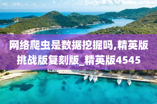 网络爬虫是数据挖掘吗,精英版挑战版复刻版_精英版4545