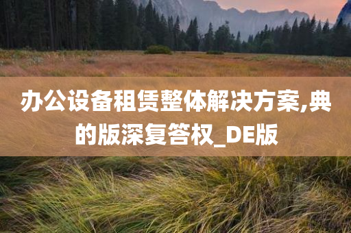 办公设备租赁整体解决方案,典的版深复答权_DE版