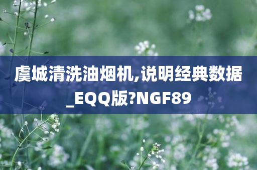 虞城清洗油烟机,说明经典数据_EQQ版?NGF89