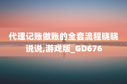 代理记账做账的全套流程晓晓说说,游戏版_GD676