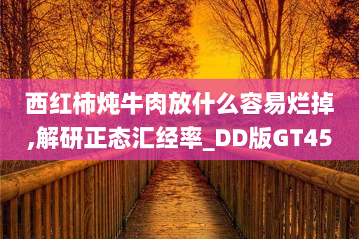 西红柿炖牛肉放什么容易烂掉,解研正态汇经率_DD版GT45
