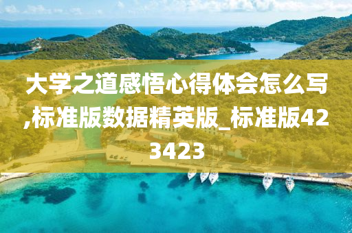 大学之道感悟心得体会怎么写,标准版数据精英版_标准版423423