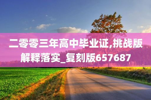二零零三年高中毕业证,挑战版解释落实_复刻版657687