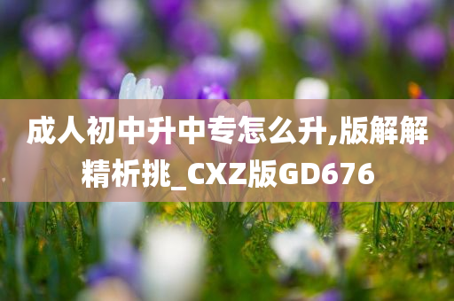 成人初中升中专怎么升,版解解精析挑_CXZ版GD676