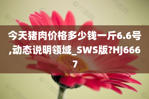 今天猪肉价格多少钱一斤6.6号,动态说明领域_SWS版?HJ6667