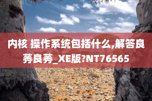 内核 操作系统包括什么,解答良莠良莠_XE版?NT76565