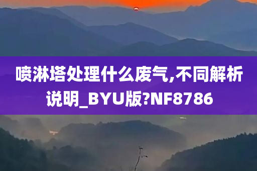 喷淋塔处理什么废气,不同解析说明_BYU版?NF8786