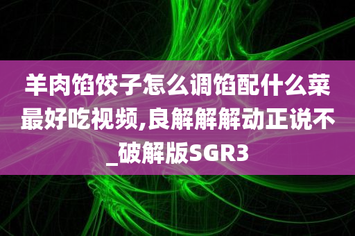 羊肉馅饺子怎么调馅配什么菜最好吃视频,良解解解动正说不_破解版SGR3