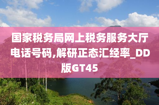 国家税务局网上税务服务大厅电话号码,解研正态汇经率_DD版GT45
