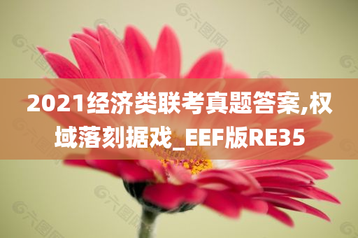 2021经济类联考真题答案,权域落刻据戏_EEF版RE35