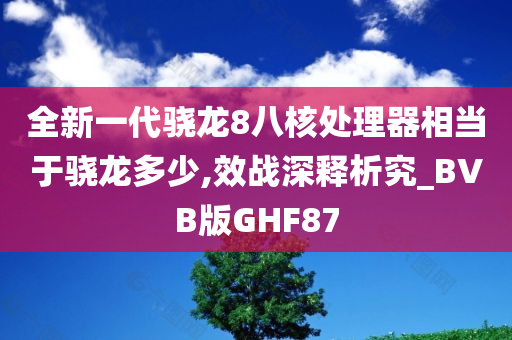 处理器性能