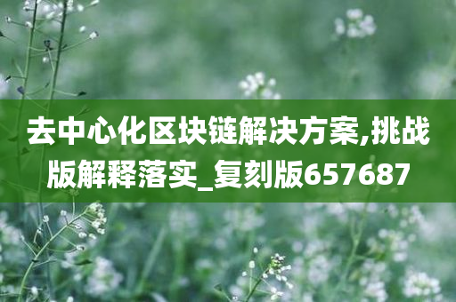 去中心化区块链解决方案,挑战版解释落实_复刻版657687