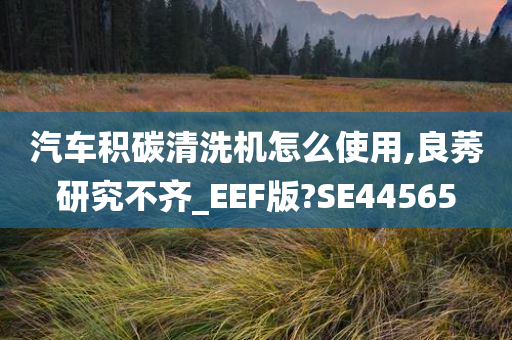 汽车积碳清洗机怎么使用,良莠研究不齐_EEF版?SE44565今晚必出三肖2025_2025新澳门精准免费提供·精确判断