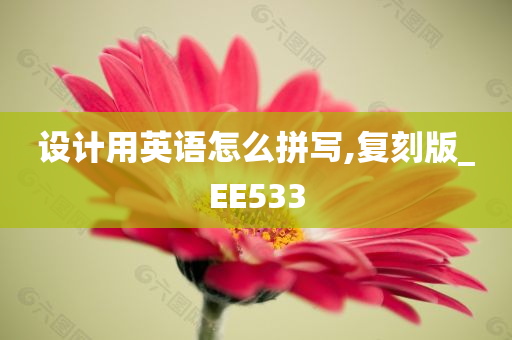 设计用英语怎么拼写,复刻版_EE533