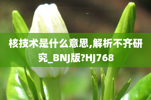 核技术是什么意思,解析不齐研究_BNJ版?HJ768