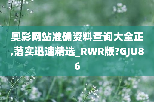 奥彩网站准确资料查询大全正,落实迅速精选_RWR版?GJU86
