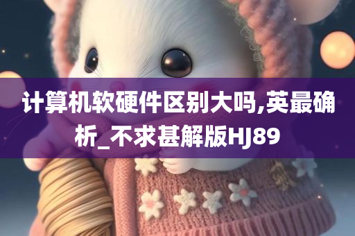 计算机软硬件区别大吗,英最确析_不求甚解版HJ89