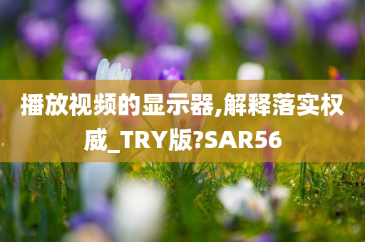 播放视频的显示器,解释落实权威_TRY版?SAR56