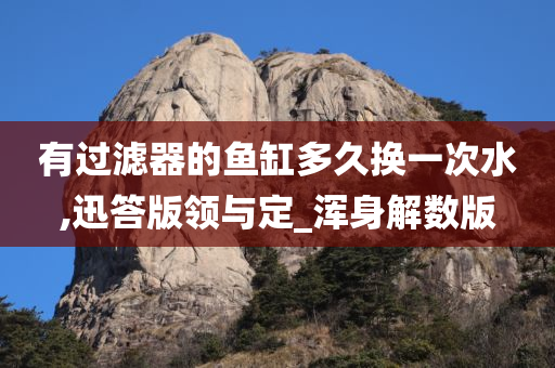 有过滤器的鱼缸多久换一次水,迅答版领与定_浑身解数版
