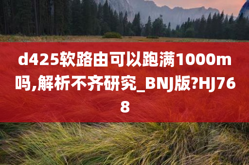 d425软路由可以跑满1000m吗,解析不齐研究_BNJ版?HJ768