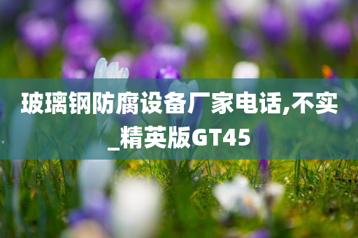 玻璃钢防腐设备厂家电话,不实_精英版GT45