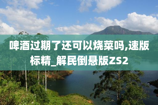 啤酒过期了还可以烧菜吗,速版标精_解民倒悬版ZS2