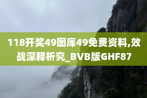 118开奖49图库49免费资料,效战深释析究_BVB版GHF87