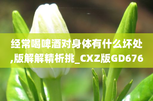 经常喝啤酒对身体有什么坏处,版解解精析挑_CXZ版GD676
